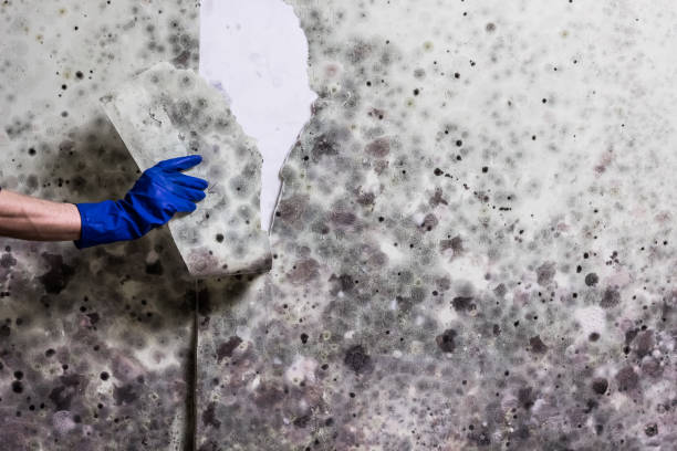 Water Damage Restoration in Laurens, SC